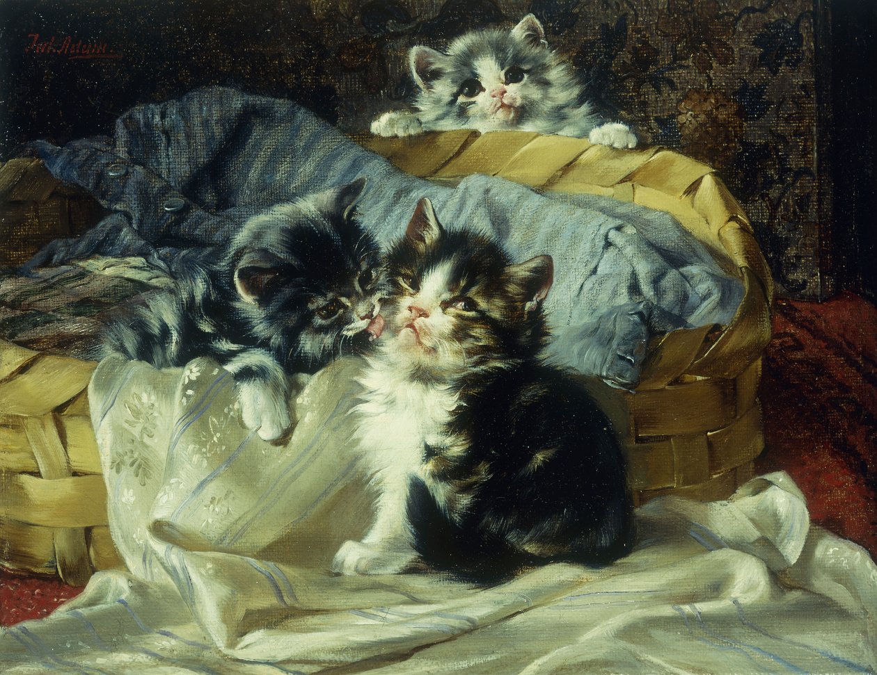 Speelse kittens door Julius Adam