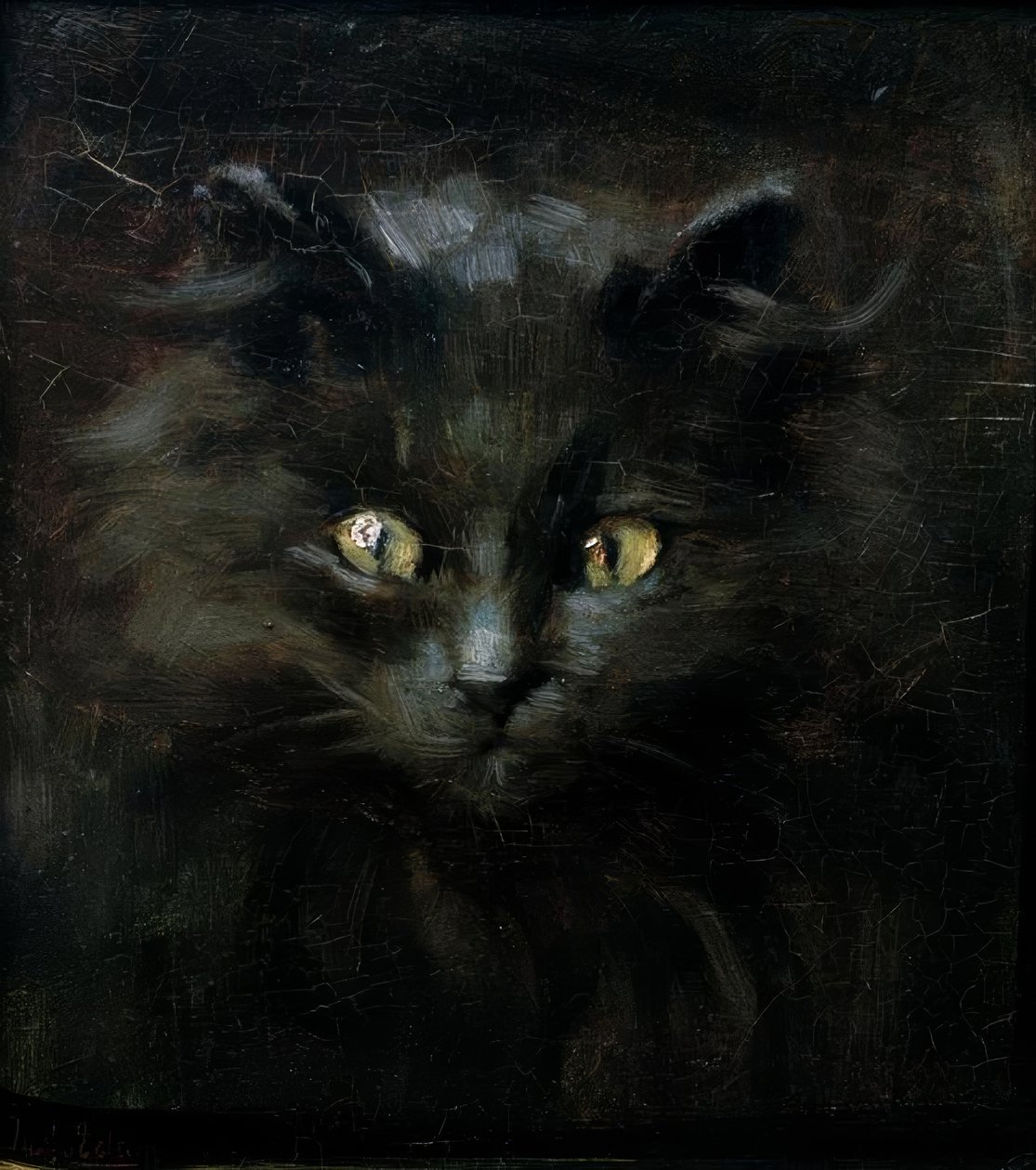 Portret van een kat door Julius Adam
