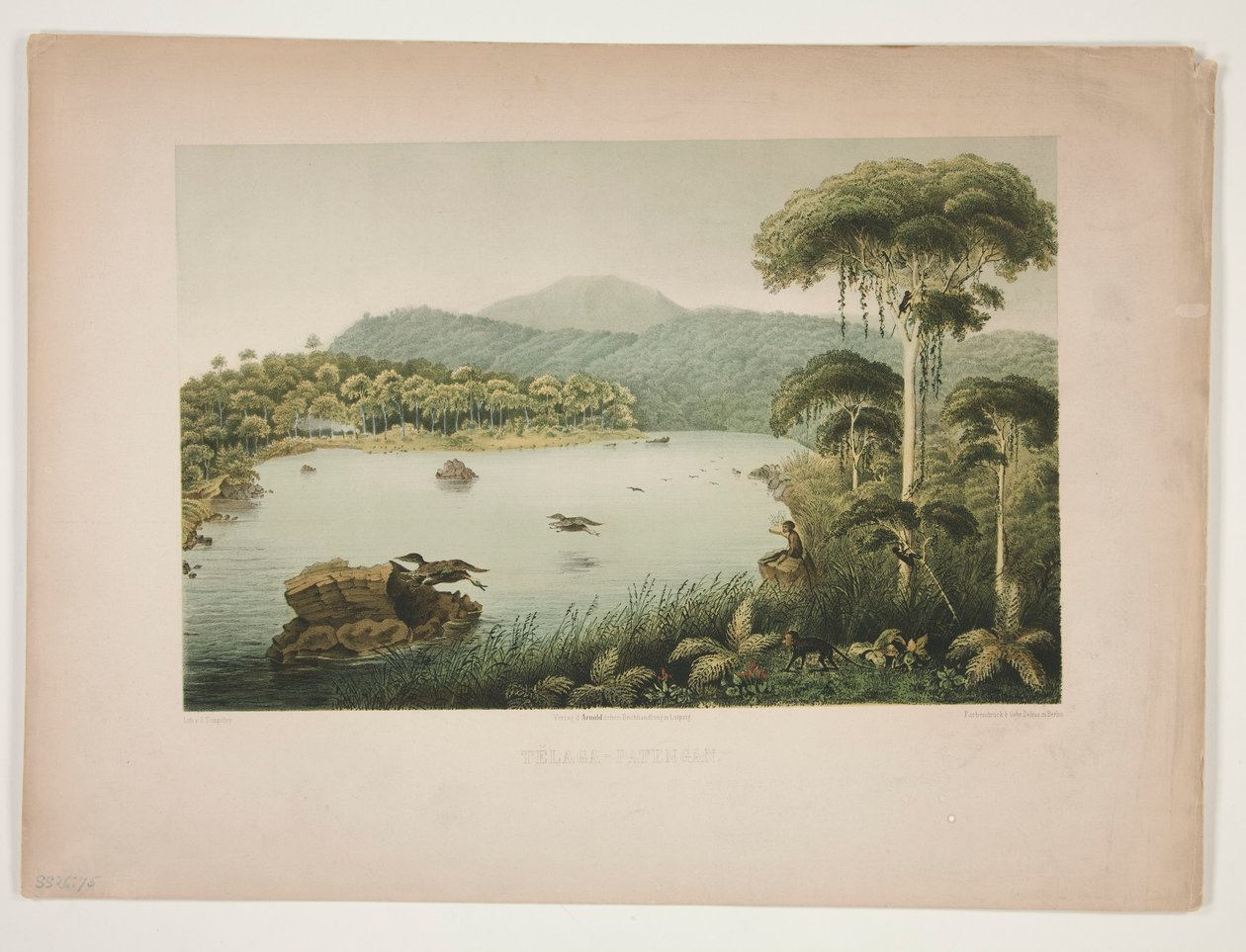 Telaga - Patengan door Julius Friedrich Tempeltey