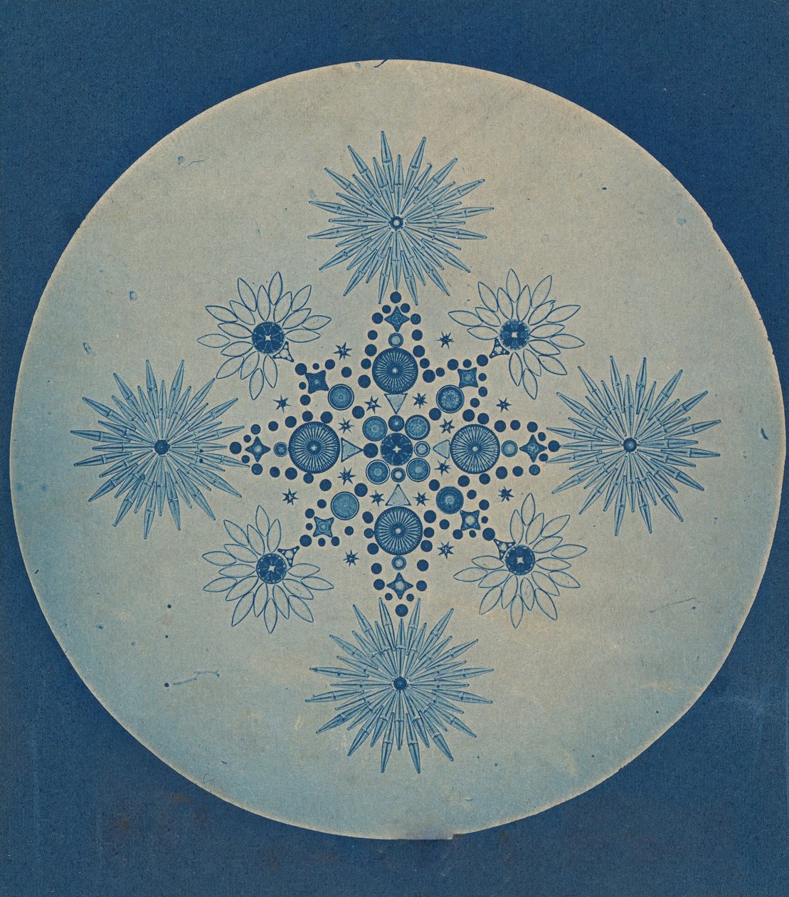 Frustules van Diatomeeën, ca. 1870 door Julius Wiesner.