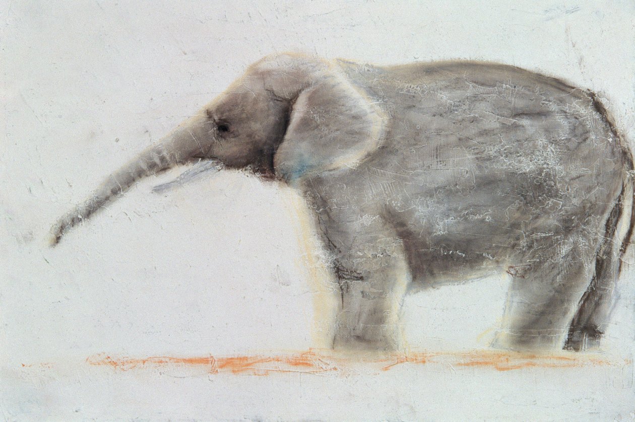 Olifant door Jung Sook Nam