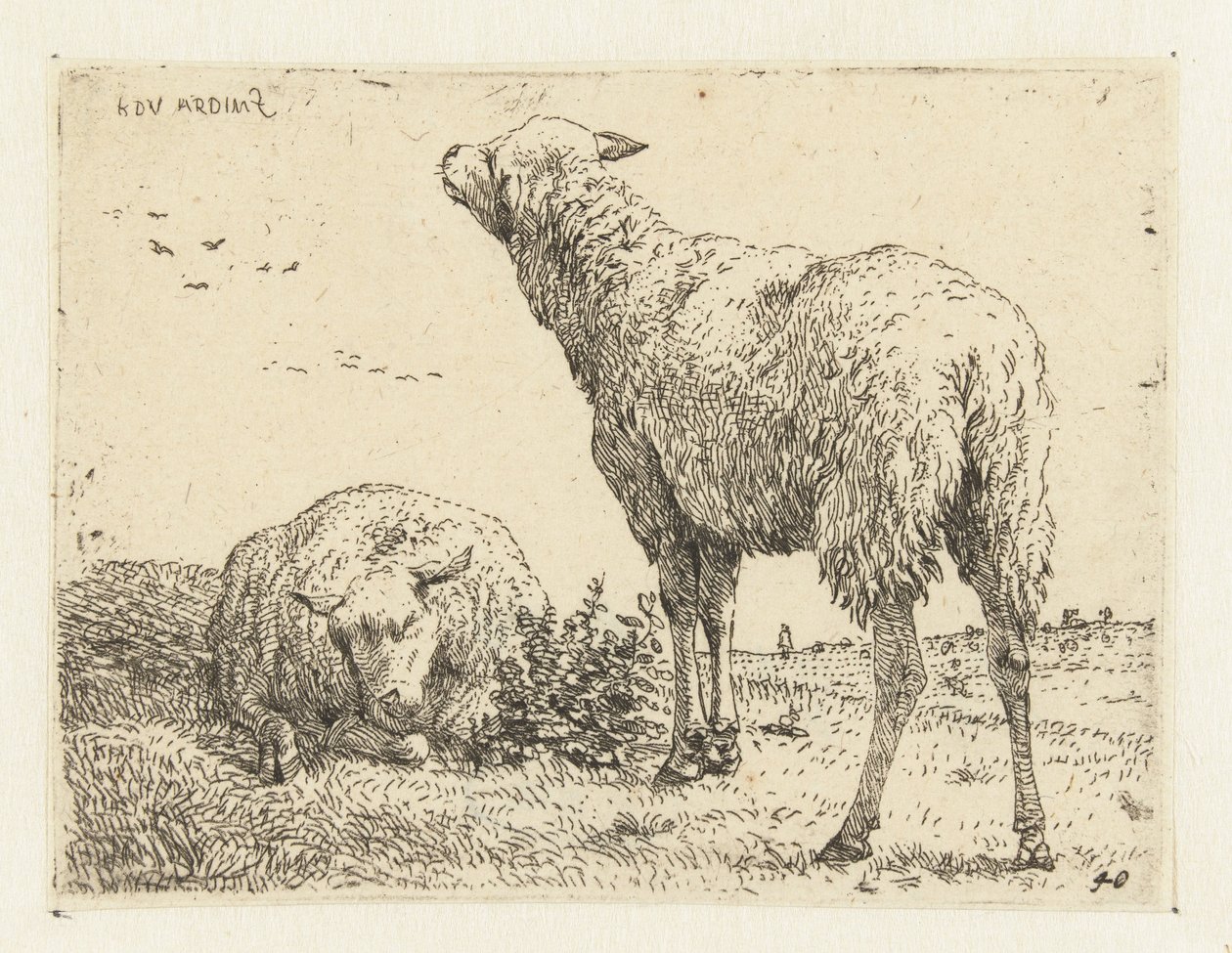 Twee schapen door Karel Du Jardin