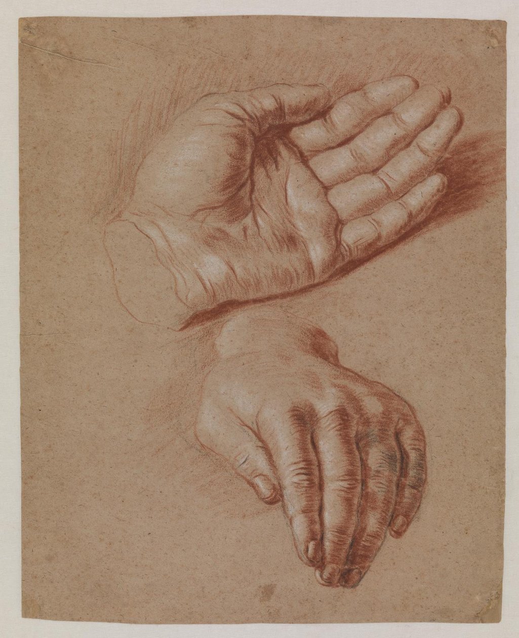 Studies van twee handen door Karel van III Mander