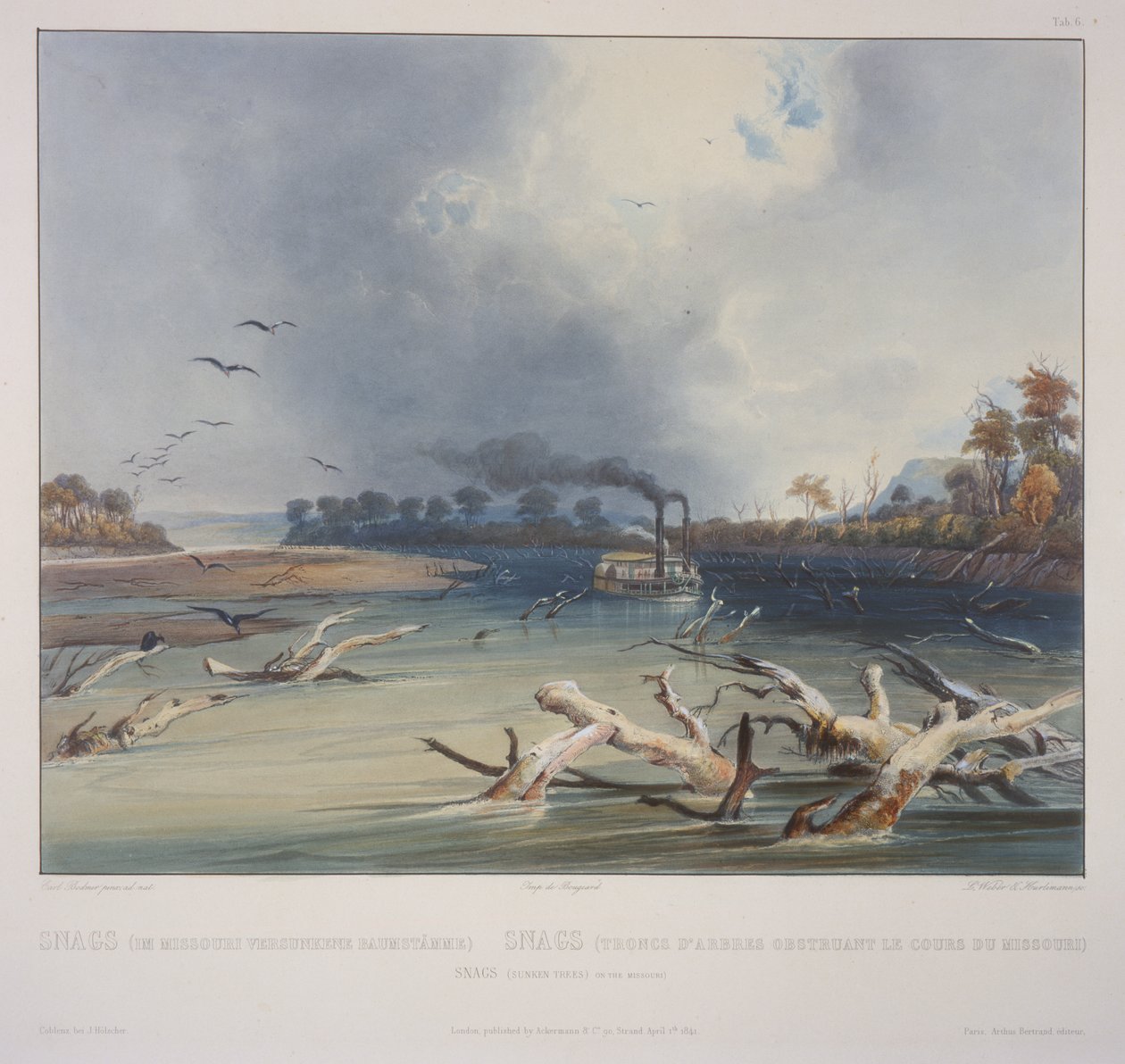 Snags (gezonken bomen) aan de Missouri door Karl Bodmer