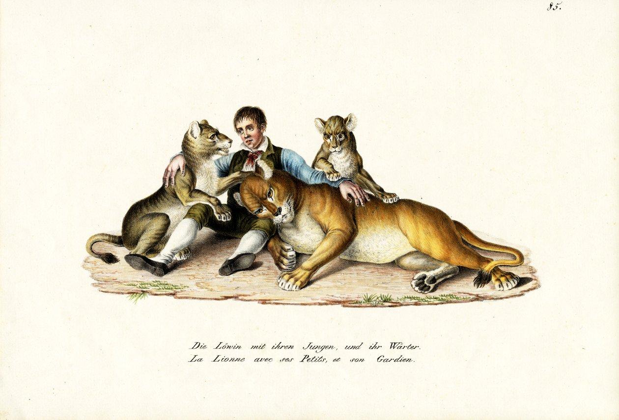 Leeuwin met welpen, 1824 door Karl Joseph Brodtmann