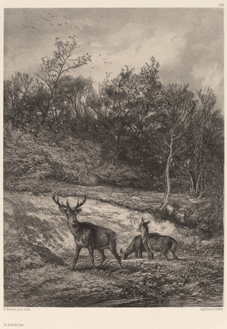 Aan de waterkant door Karl Bodmer