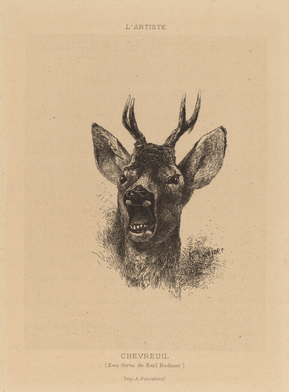 Hert door Karl Bodmer