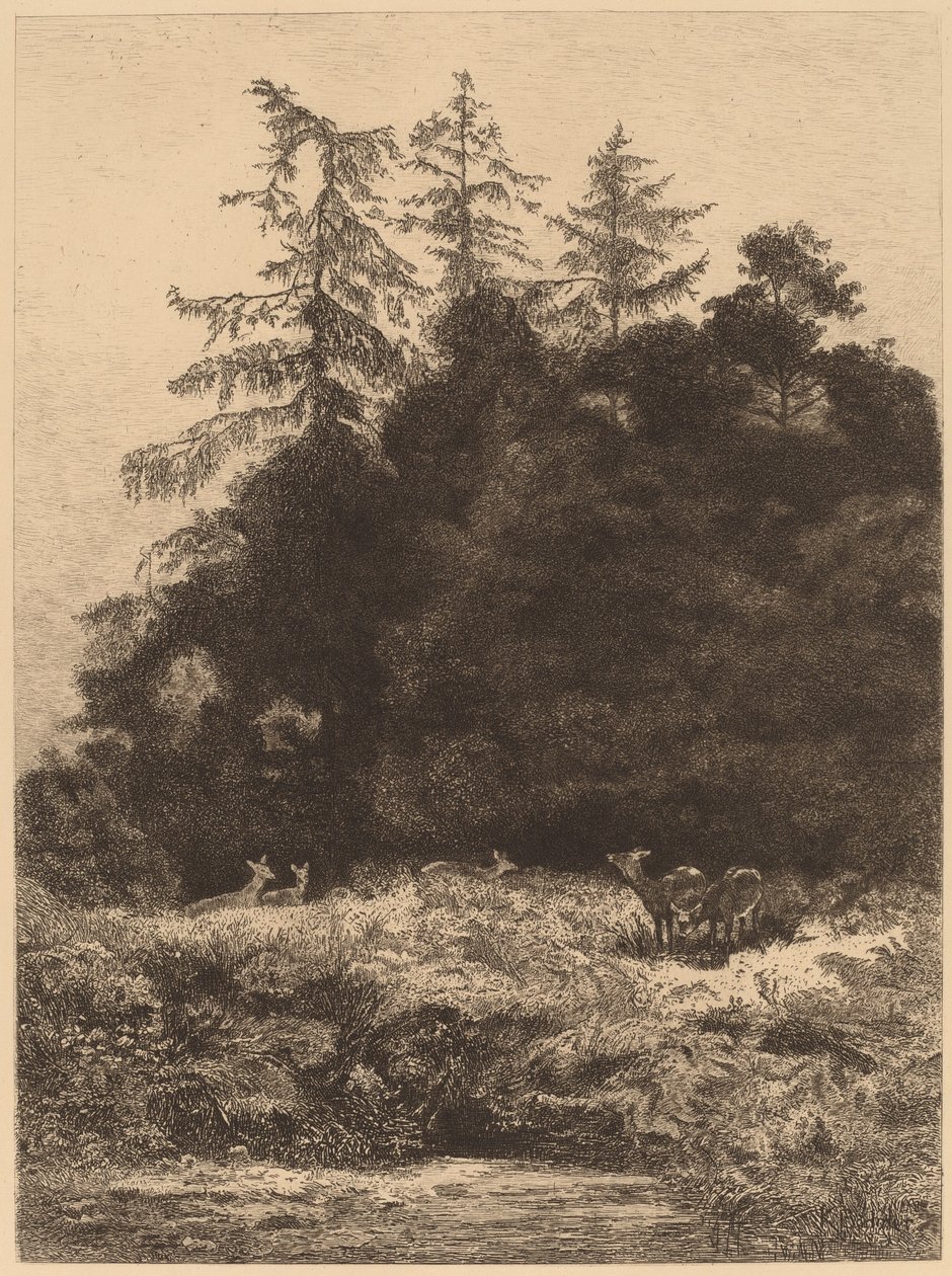 Herten in een park door Karl Bodmer