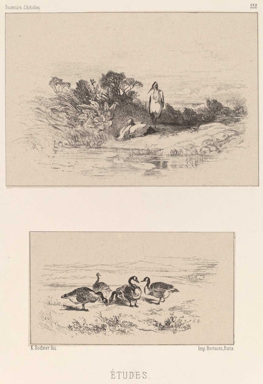 Studies door Karl Bodmer