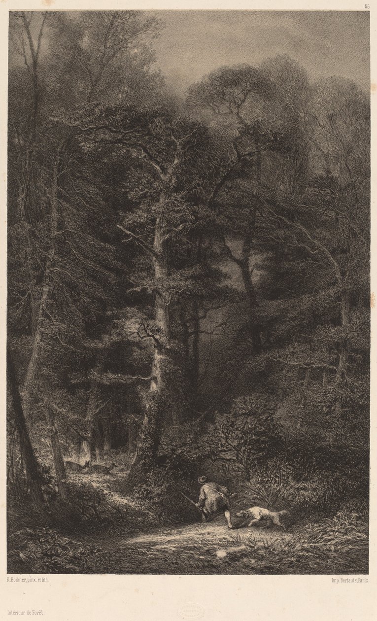 Bosinterieur door Karl Bodmer