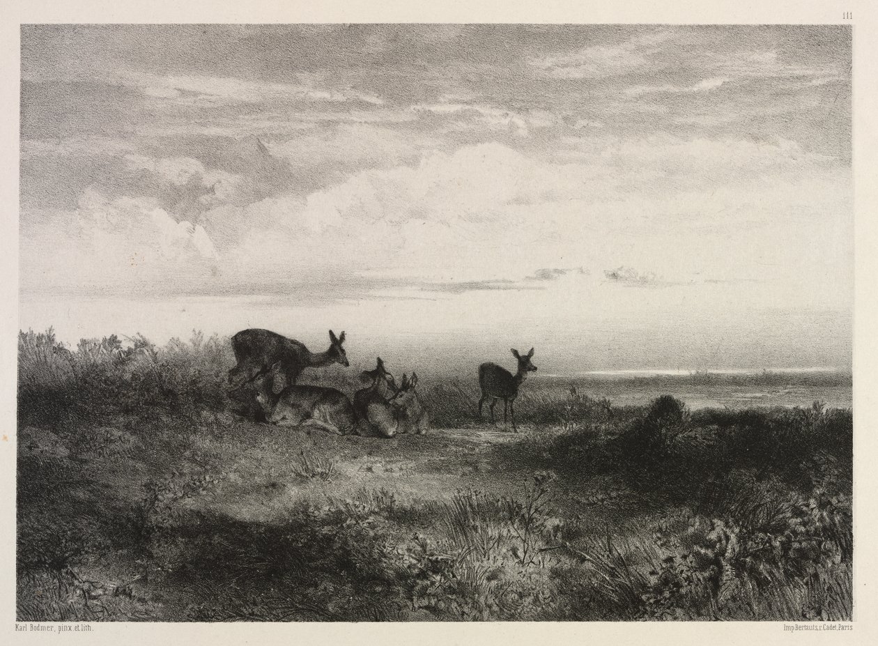 Landschap met herten door Karl Bodmer