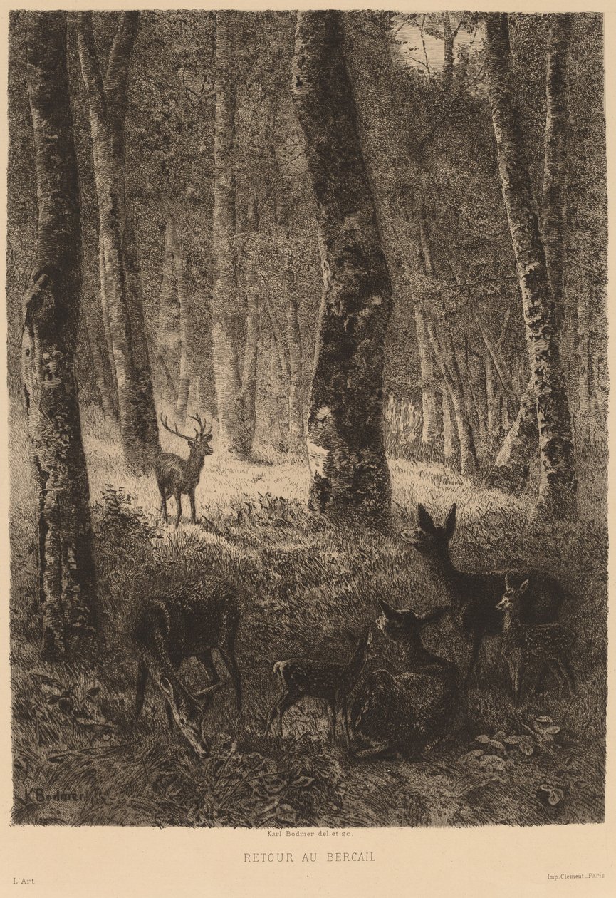 Retour au Bercail door Karl Bodmer