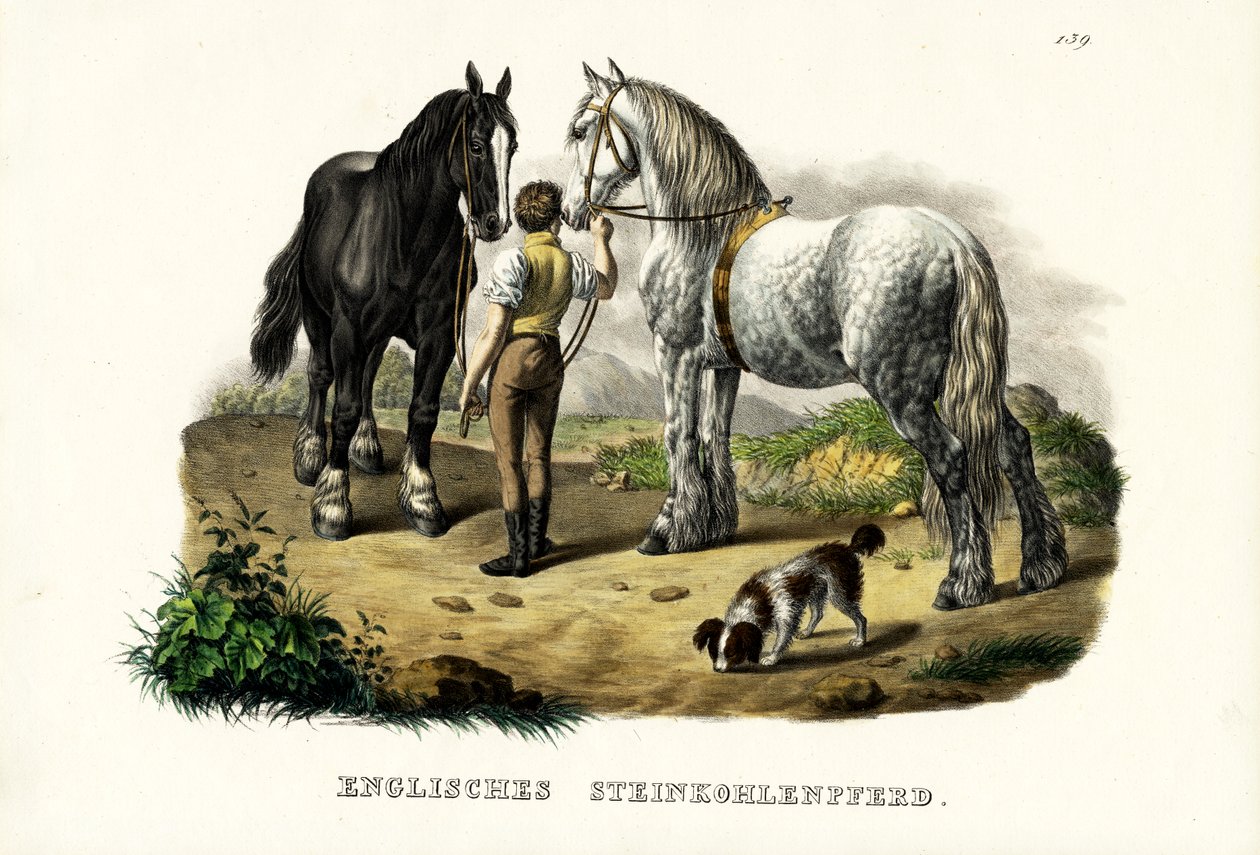 Engels mijnpaard, 1824 door Karl Joseph Brodtmann