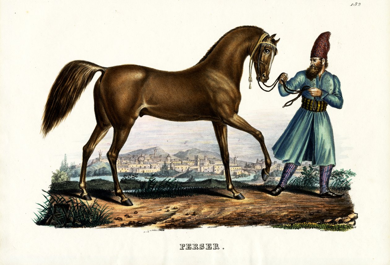 Perzisch paard, 1824 door Karl Joseph Brodtmann