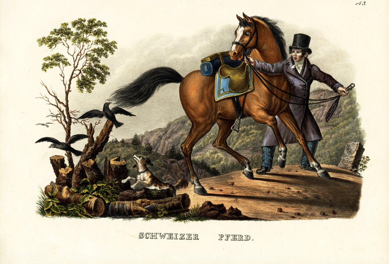 Zwitserse paard, 1824 door Karl Joseph Brodtmann