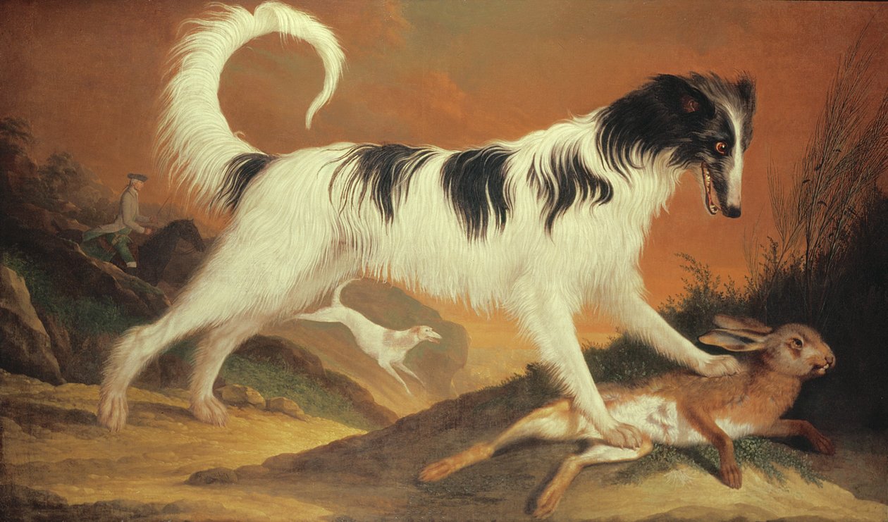Hond en haas door Karl Kaspar Pitz