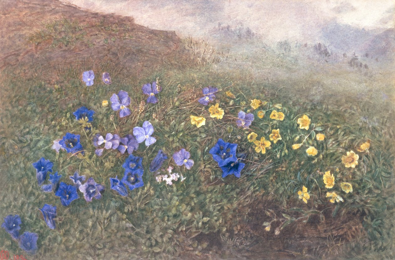 Lentebloemen in de bergen, 1896 door Kate fl.1873 96 Goodwin