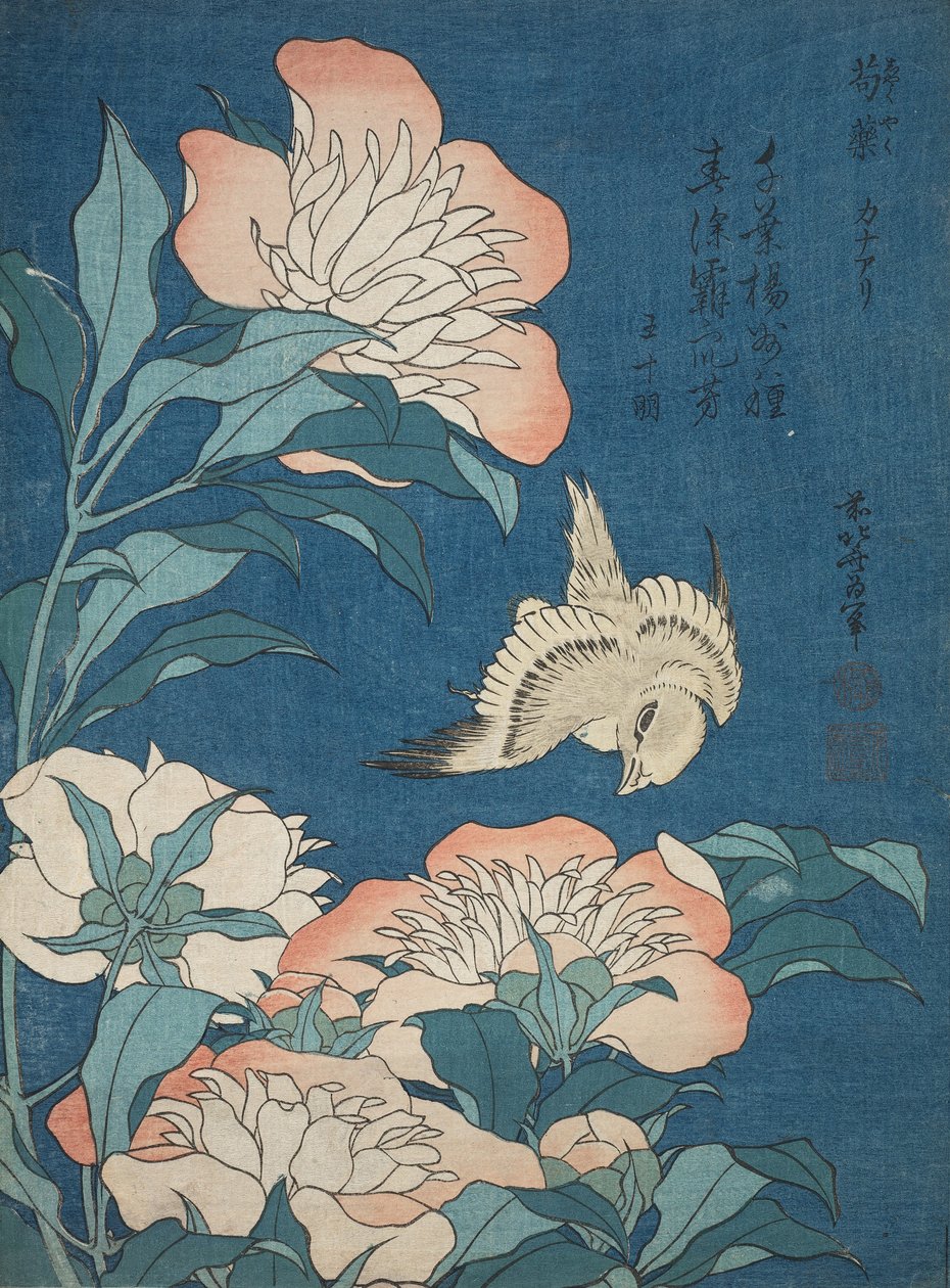 Pioenen en Kanarie (Shakuyaku, kanaari), uit een ongetitelde serie bekend als Kleine Bloemen door Katsushika Hokusai