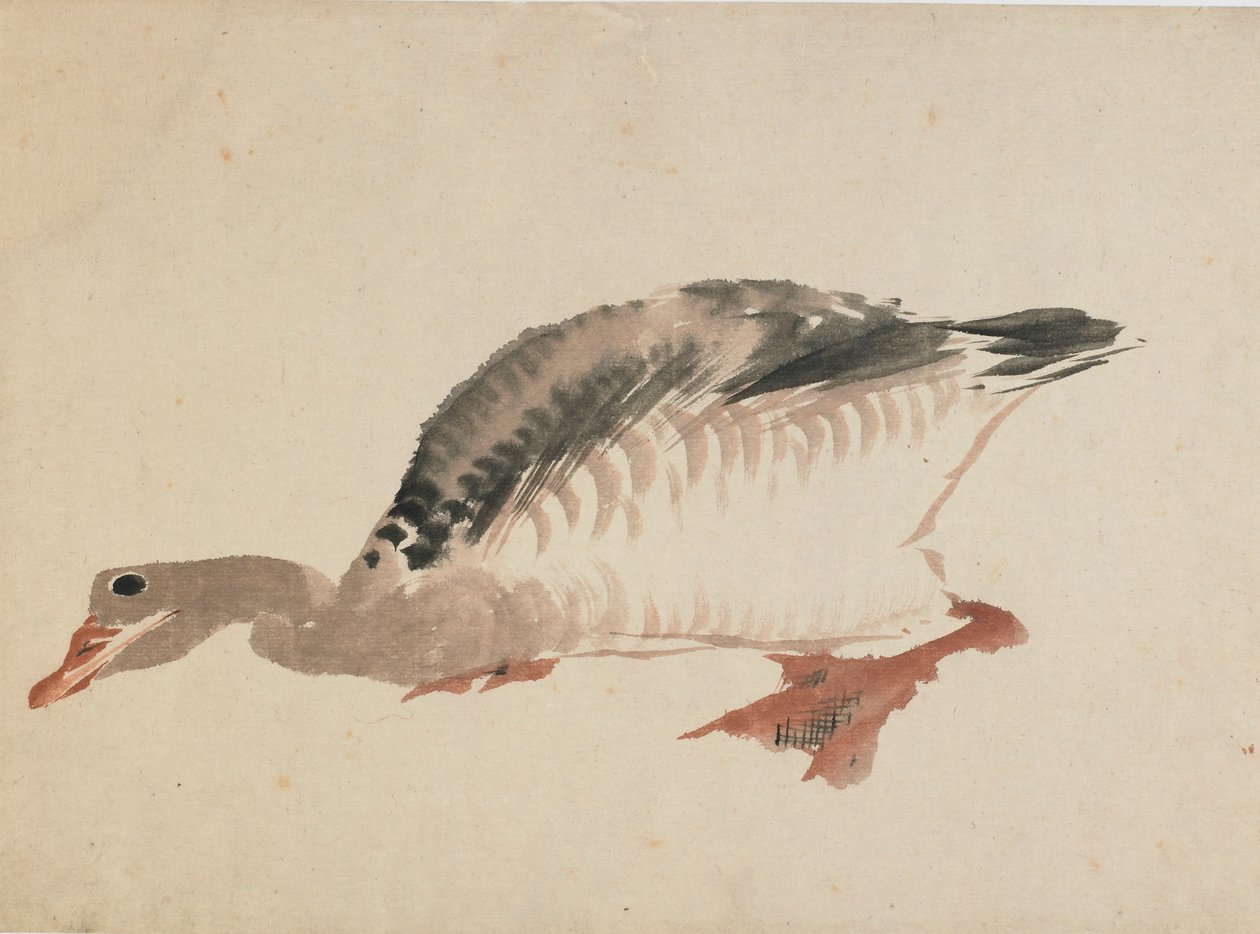 Gans, laat 18e - begin 19e eeuw door Katsushika Hokusai