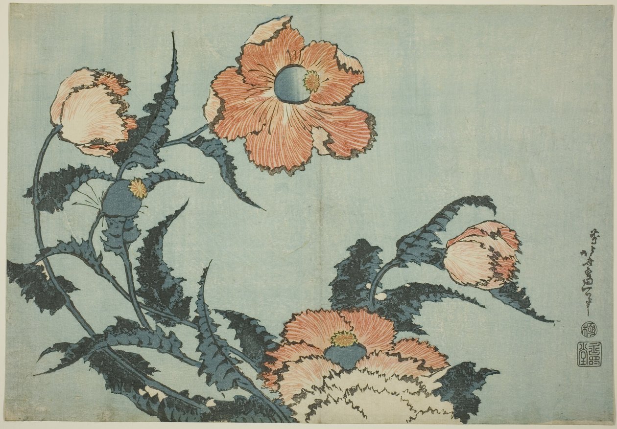 Klaprozen, uit een ongetitelde serie bloemen door Katsushika Hokusai