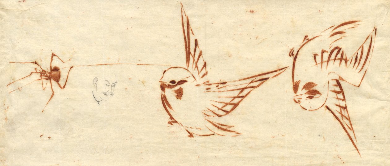 Schetsblad met vogels en spin door Katsushika Hokusai
