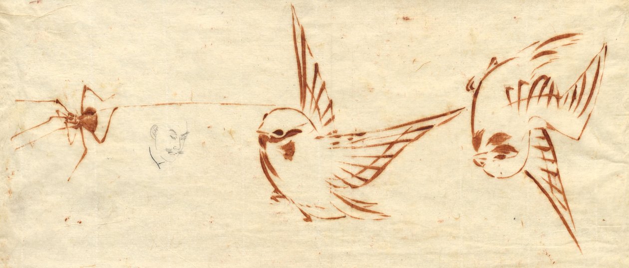 Schetsblad met Vogels en Spin door Katsushika Hokusai