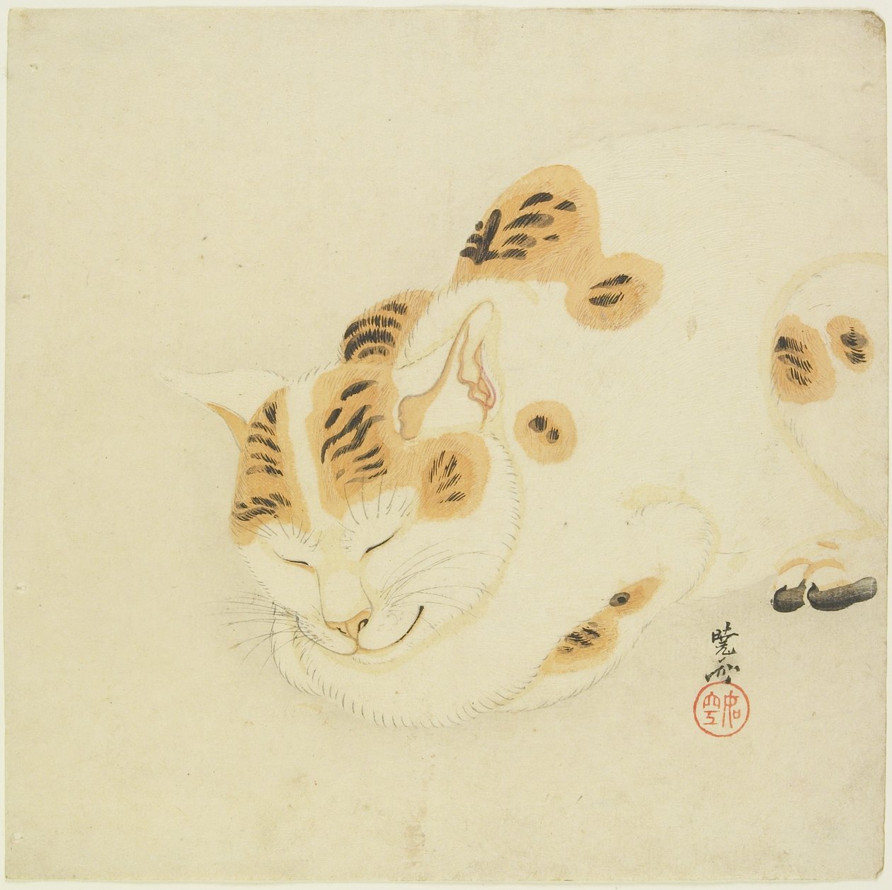 Slapende Kat door Kawanabe Kyosai