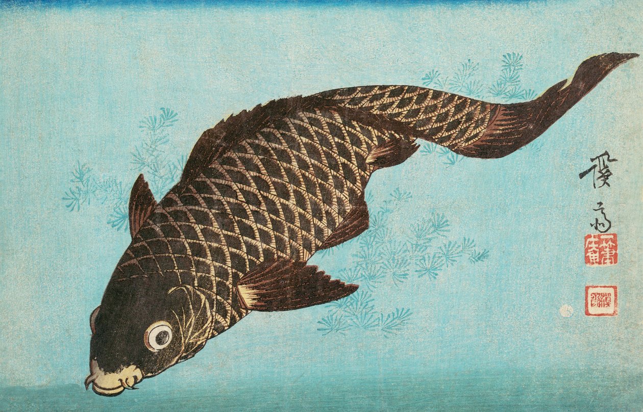 Koi door Keisai Eisen