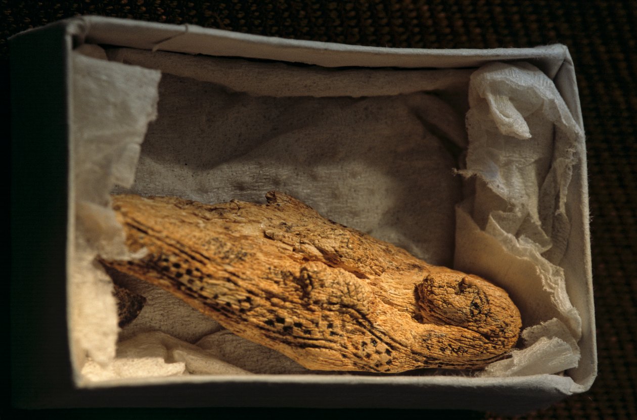 Vrouwelijk figuur, Predynastiek, Egypte door Kenneth Garrett