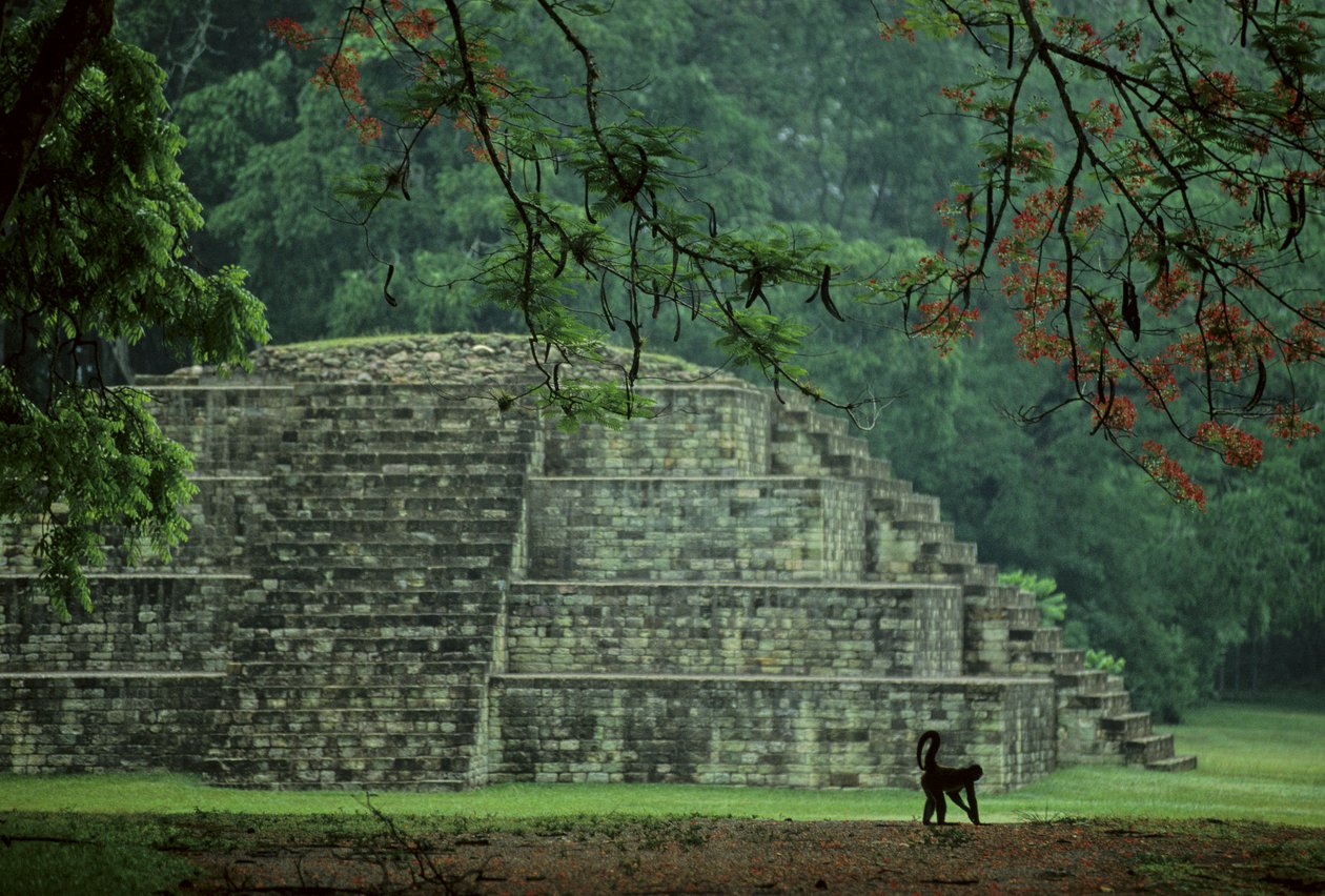 Honduras; Copan; Maya door Kenneth Garrett