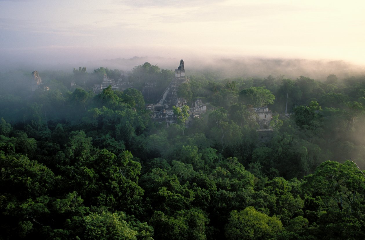 Maya; Tikal; Guatemala door Kenneth Garrett