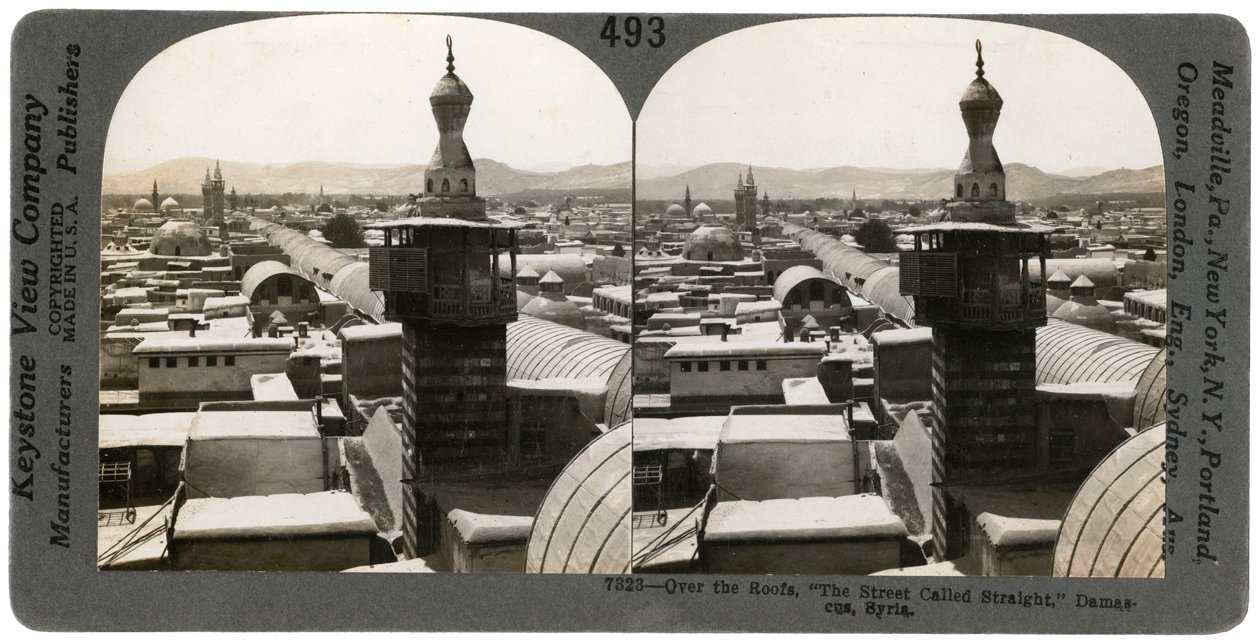 Damascus, Syrië, 1900s door Keystone View Company