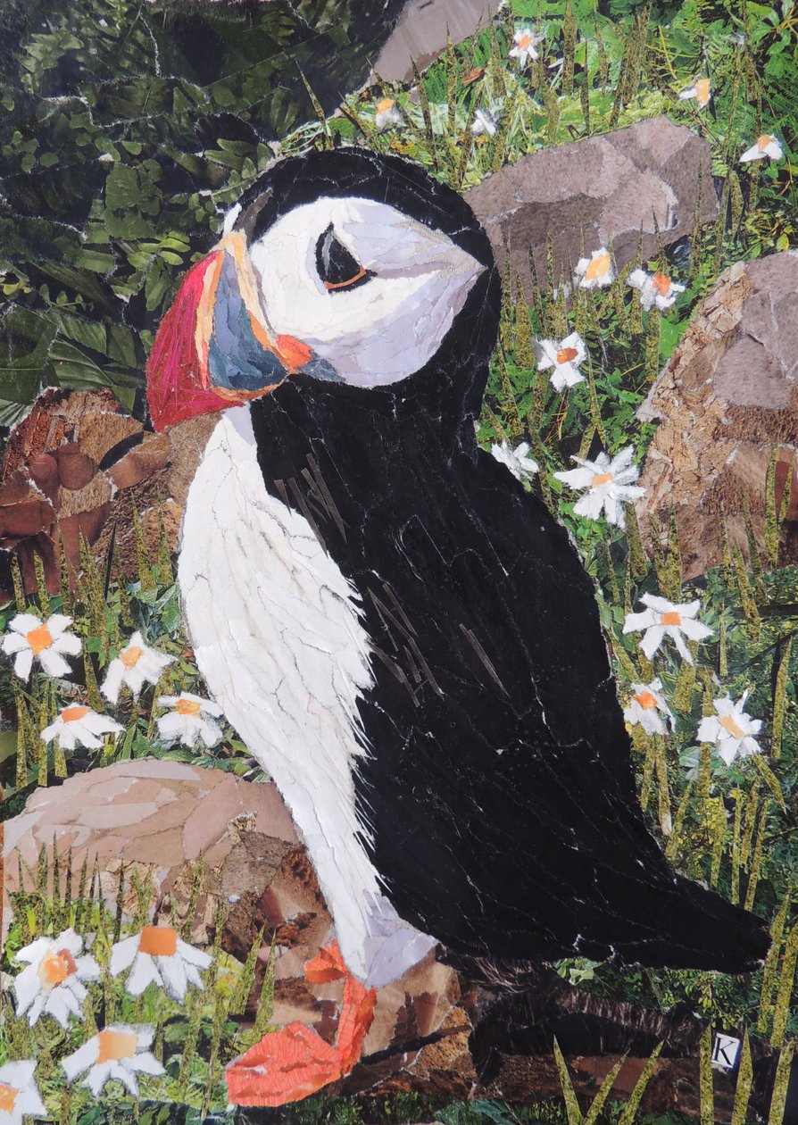 Papegaaiduiker door Kirstie Adamson
