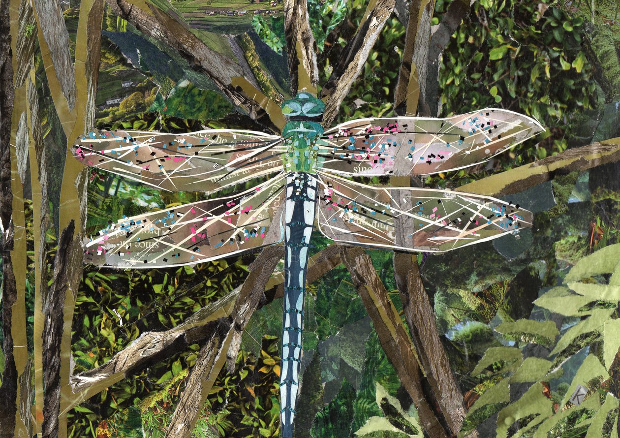 Turquoise Libel door Kirstie Adamson
