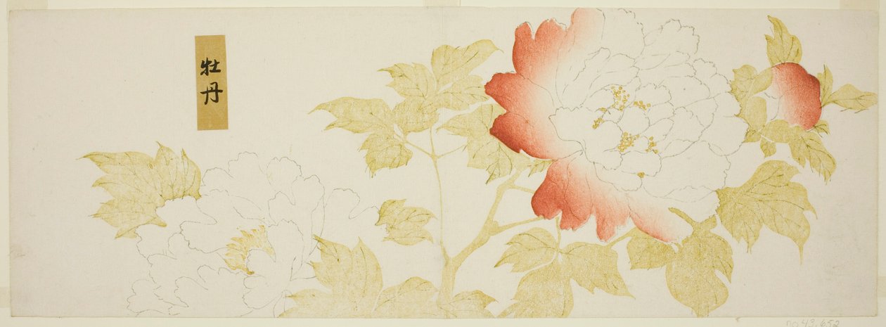 Pioenen door Kitagawa Utamaro