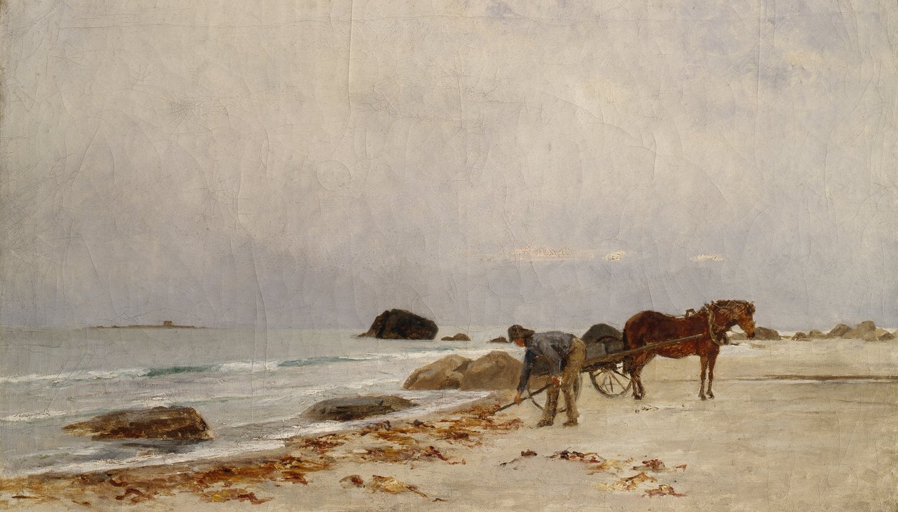 Rijdend Zeewier door Kitty Lange Kielland