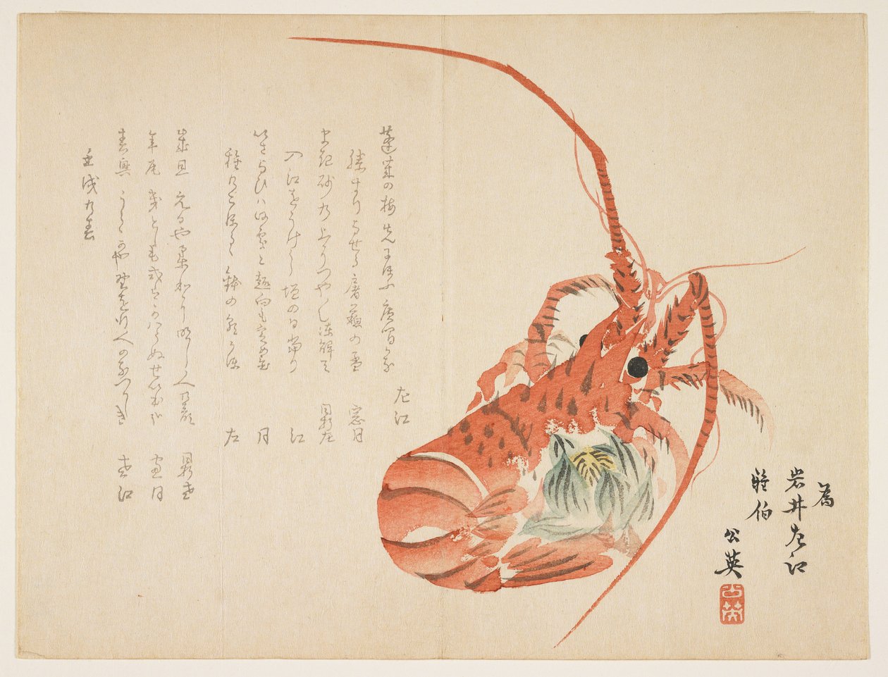 (Kreeft en gewone leverbloem), januari 1862 door Koei