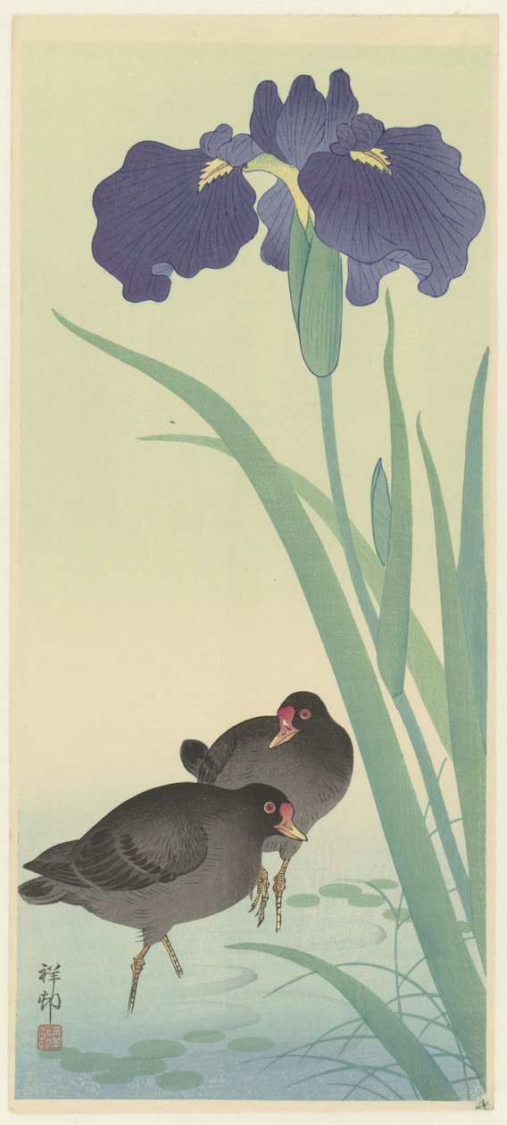 Waterhoentjes en Irissen door Ohara Koson