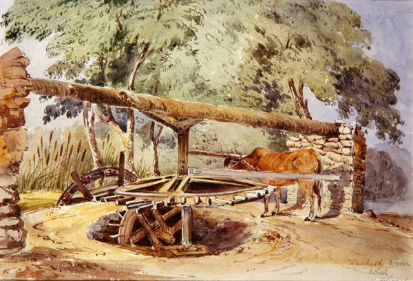 Turkse Watermolen, Heliopolis door Lady Louisa Tennyson