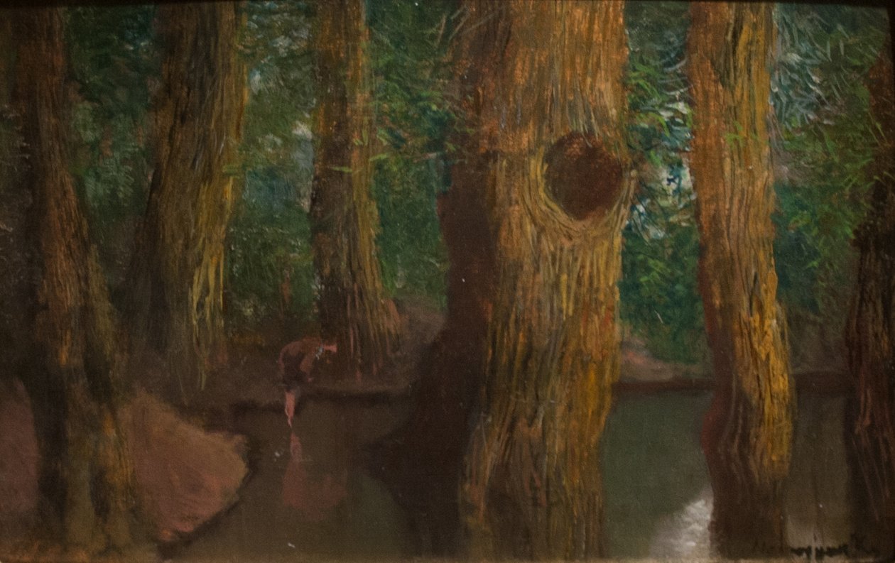 In het bos door Laszlo Mednyanszky