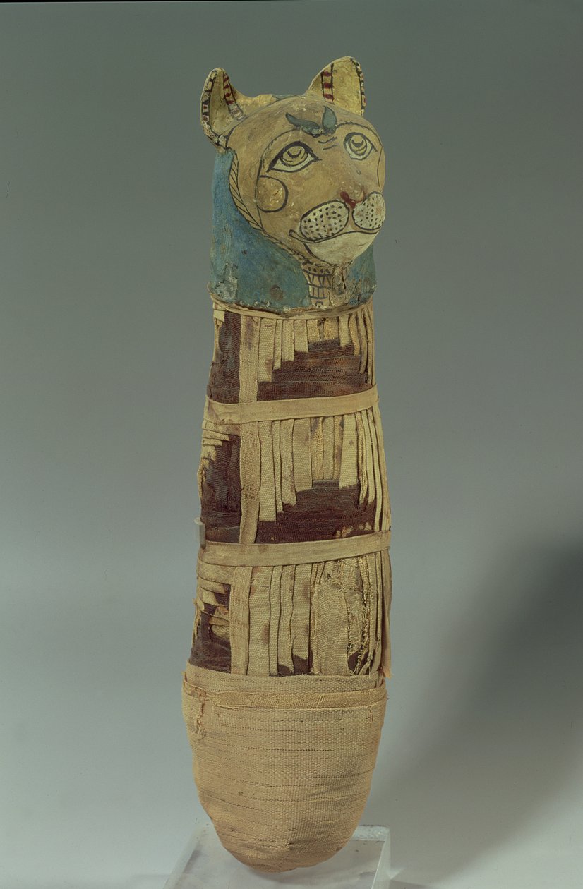 Gemummificeerde kat door Late Period Egyptian