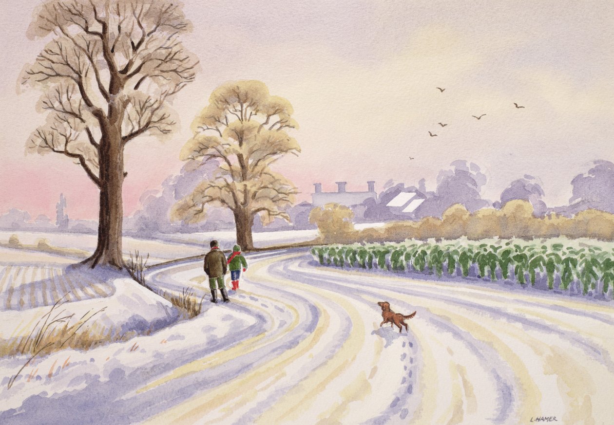 Wandeling in de Sneeuw door Lavinia Hamer