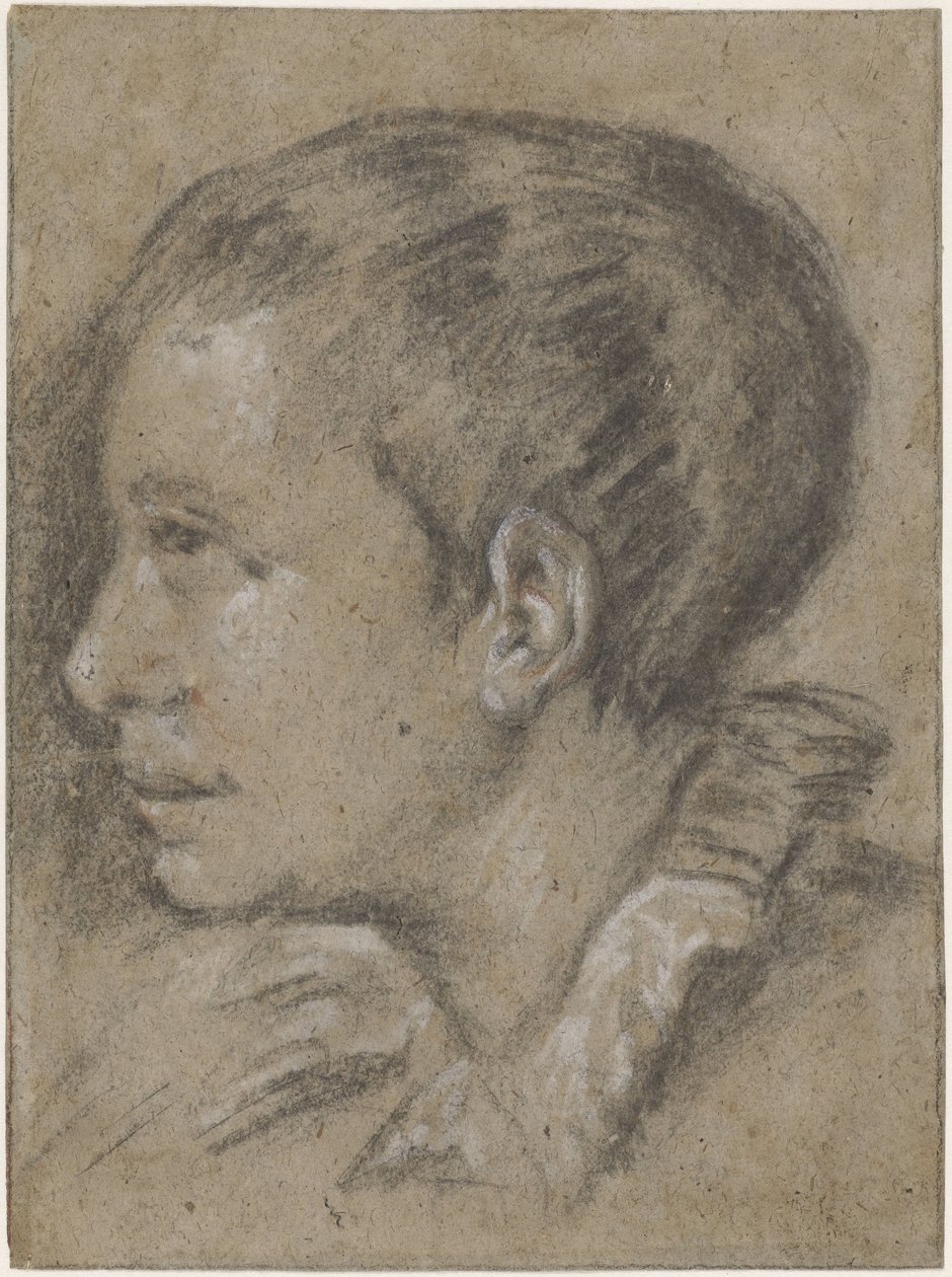 Portret van een jongen, naar links door Leandro Bassano