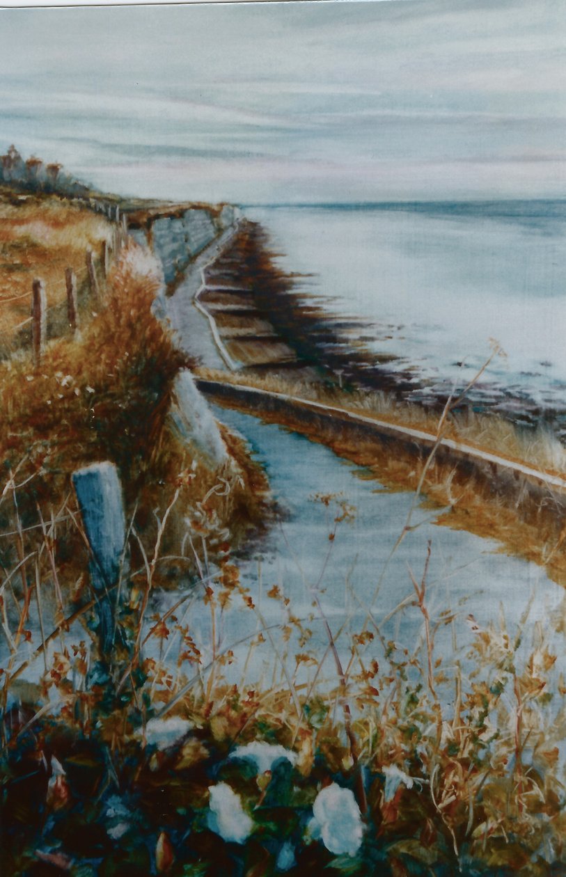 Brighton Morning Glory, 2000 door Lee Campbell