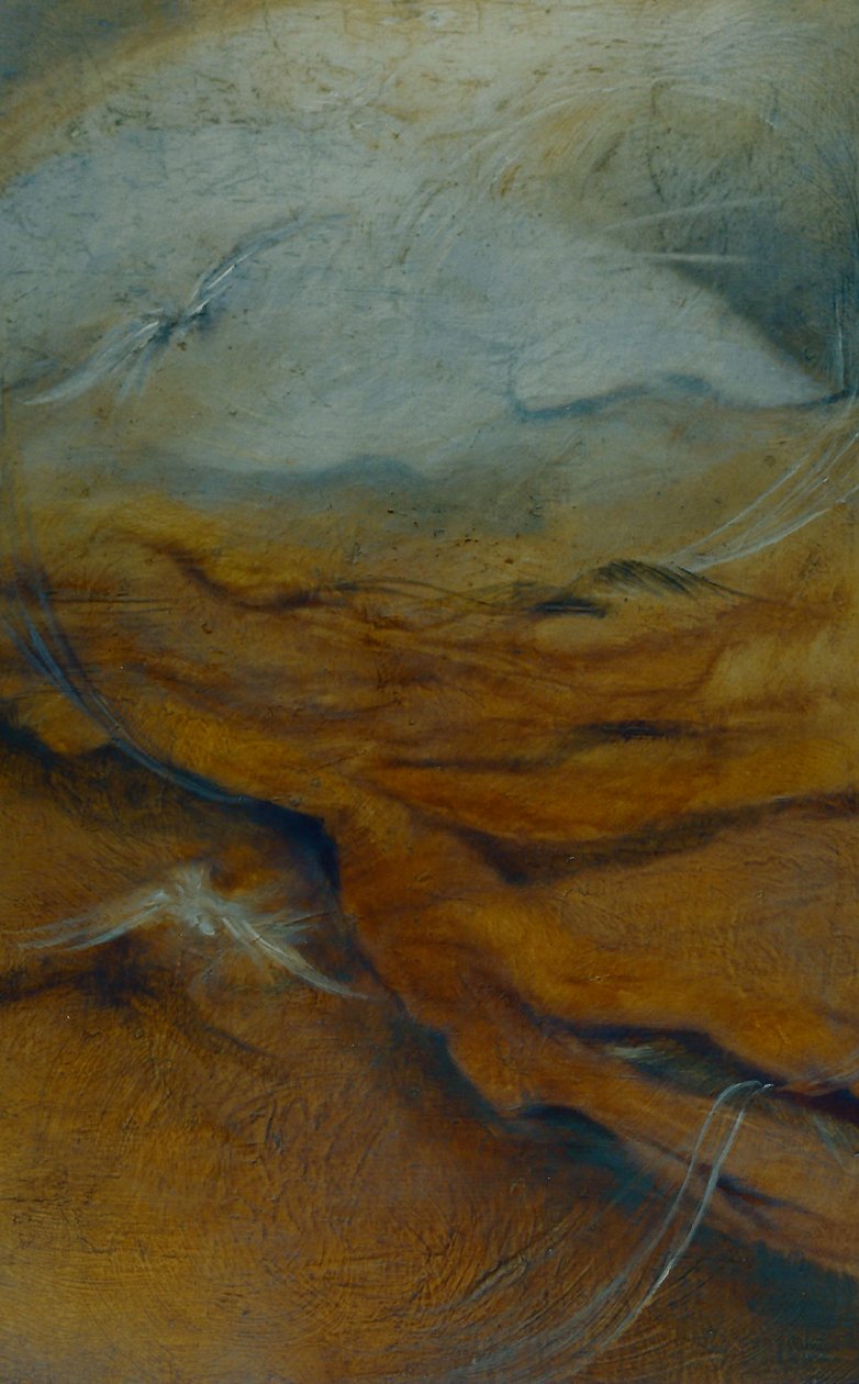 Substratum, 1996 door Lee Campbell