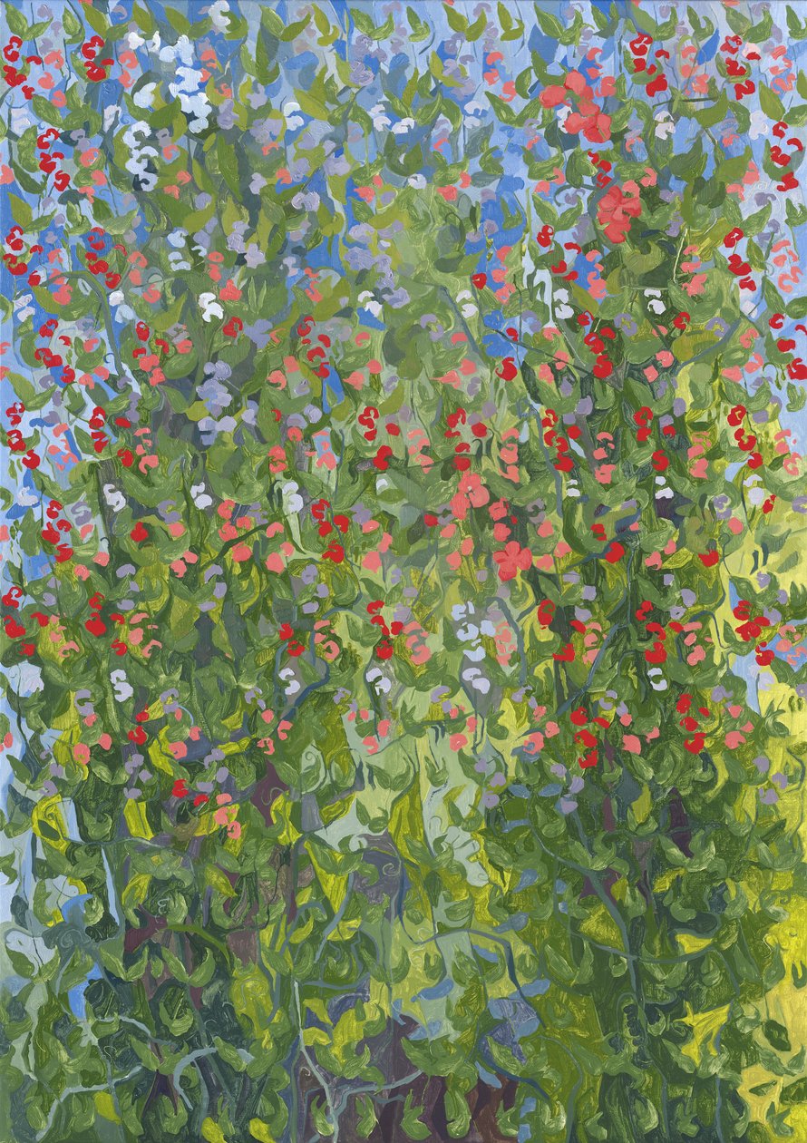 Lathyrus, 2014 door Leigh Glover