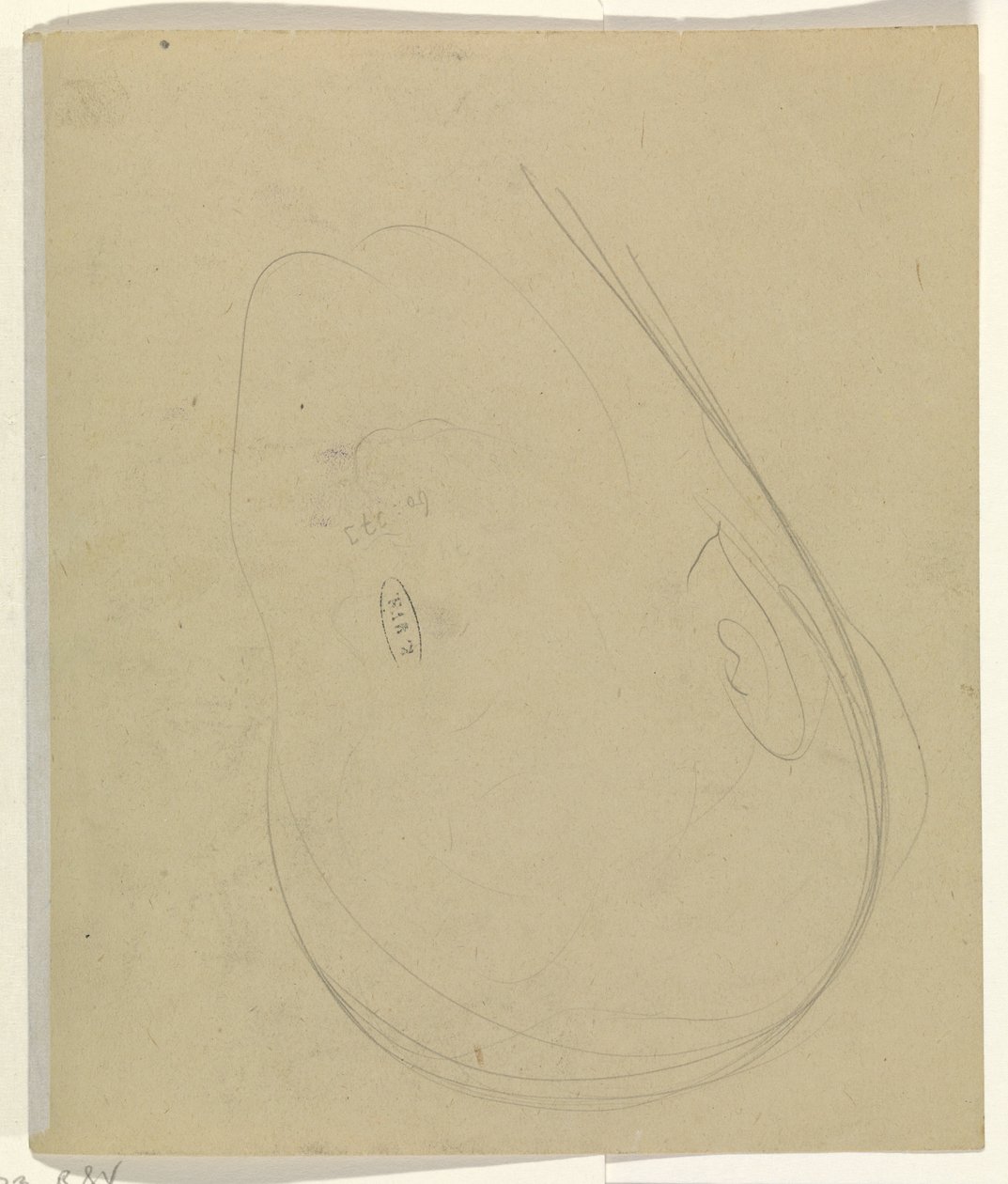Contouren van een hoofd door Leo Gestel