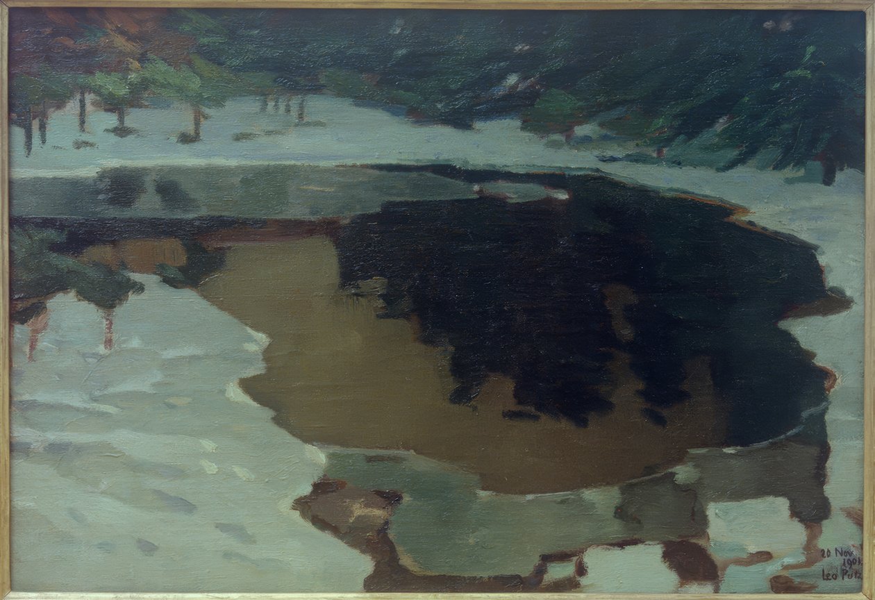 Moerasmeer in de winter door Leo Putz