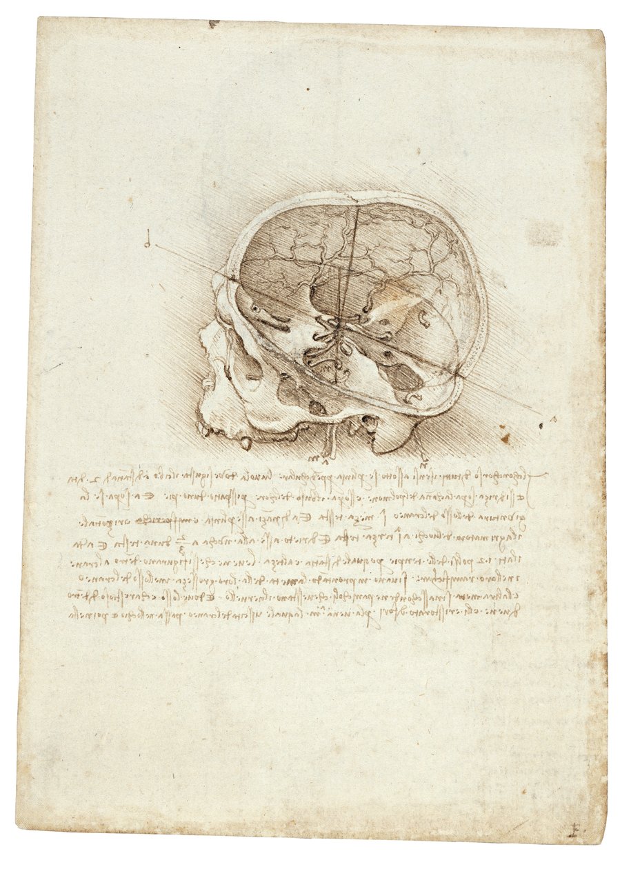 Anatomische tekening van Leonardo Da Vinci - Schedel door Leonardo da Vinci