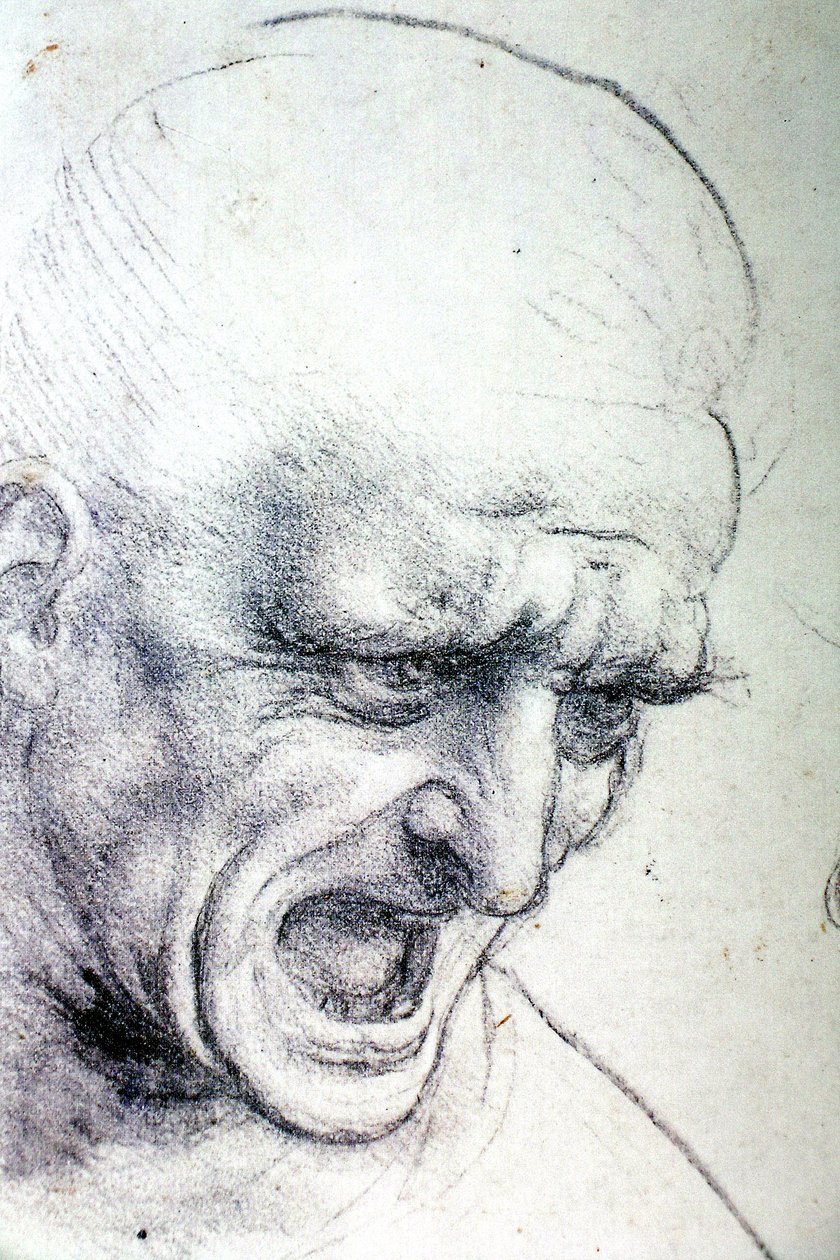 Slag bij Anghiari door Leonardo da Vinci